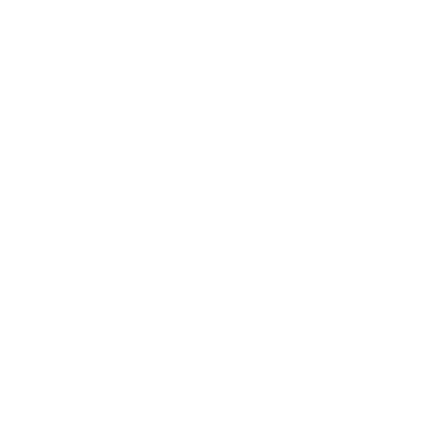 Tech she can logo